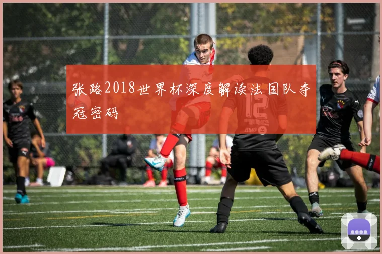 张路2018世界杯深度解读法国队夺冠密码