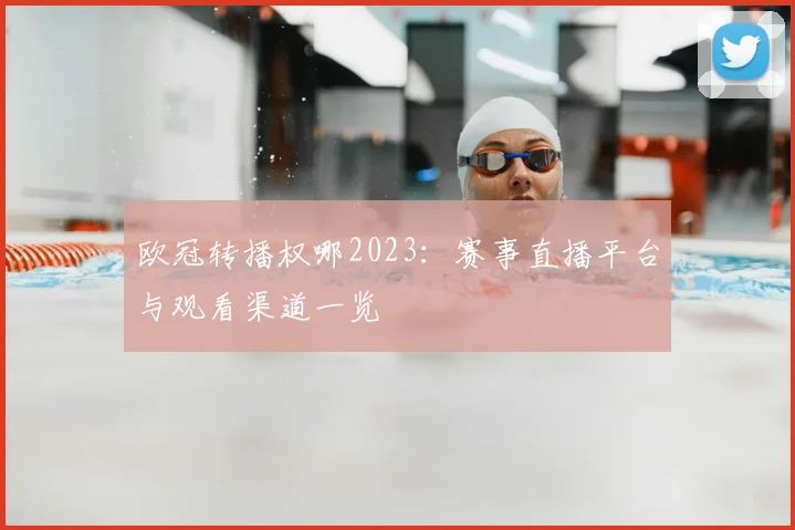 欧冠转播权哪2023：赛事直播平台与观看渠道一览
