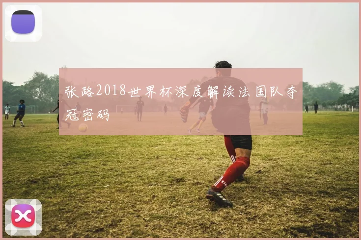 张路2018世界杯深度解读法国队夺冠密码