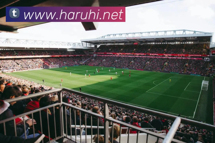 多媒体互动体验